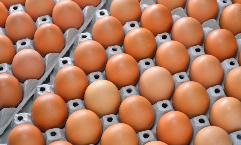 Более 37 миллионов яиц.