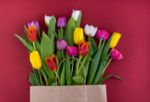 Пытаемся узнать цену на тюльпаны в Гродно на 8 марта