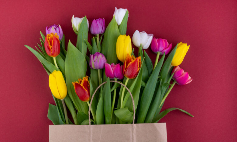 Пытаемся узнать цену на тюльпаны в Гродно на 8 марта