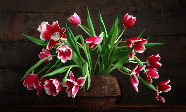 «Праздничный» развод.