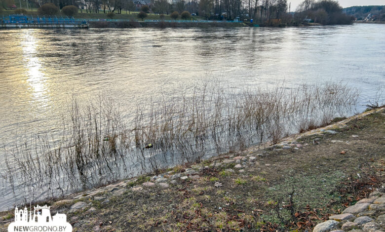 Уровень воды в Немане и не думает снижаться