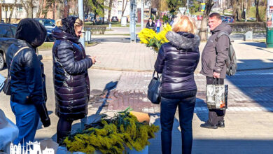 В Гродно стартовала продажа тюльпанов к 8 марта