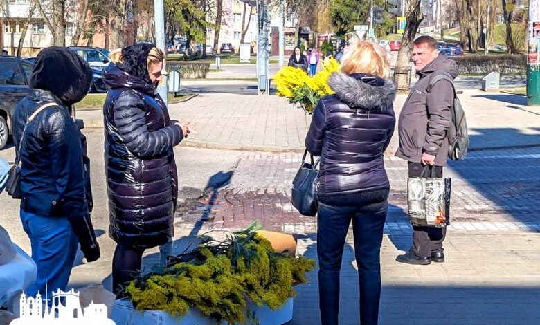 В Гродно стартовала продажа тюльпанов к 8 марта