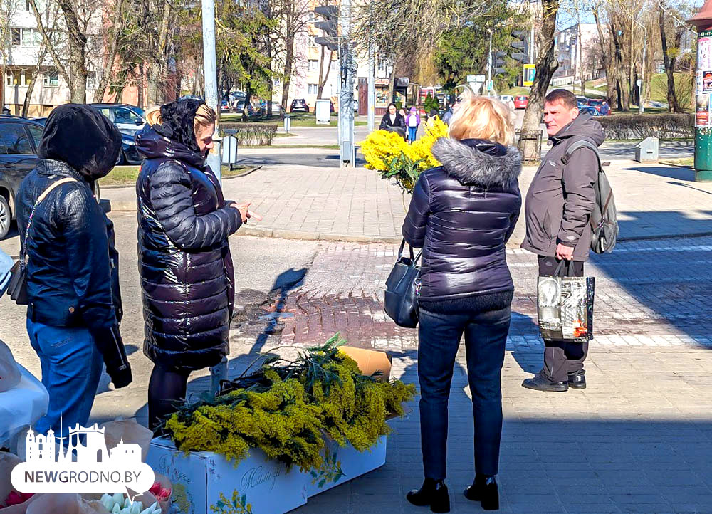 В Гродно стартовала продажа тюльпанов к 8 марта