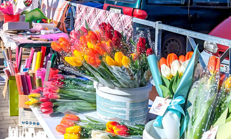 В Гродно стартовала продажа тюльпанов к 8 марта