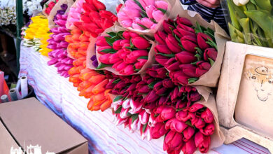 В Минтруда рассказали