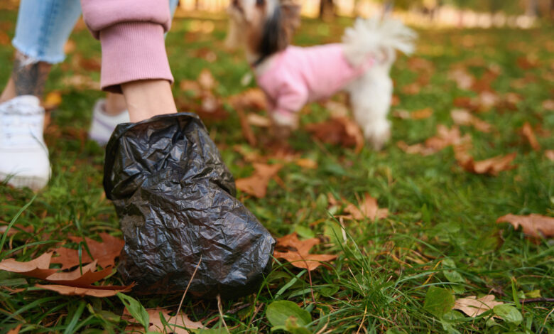 Жители молодого спальника в Гродно жалуются на владельцев собак