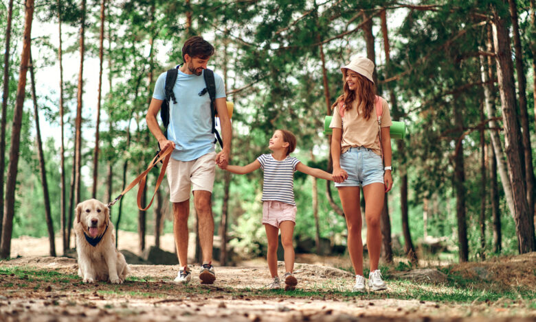 по каким ещё семейно-бытовым причинам можно взять отпуск?