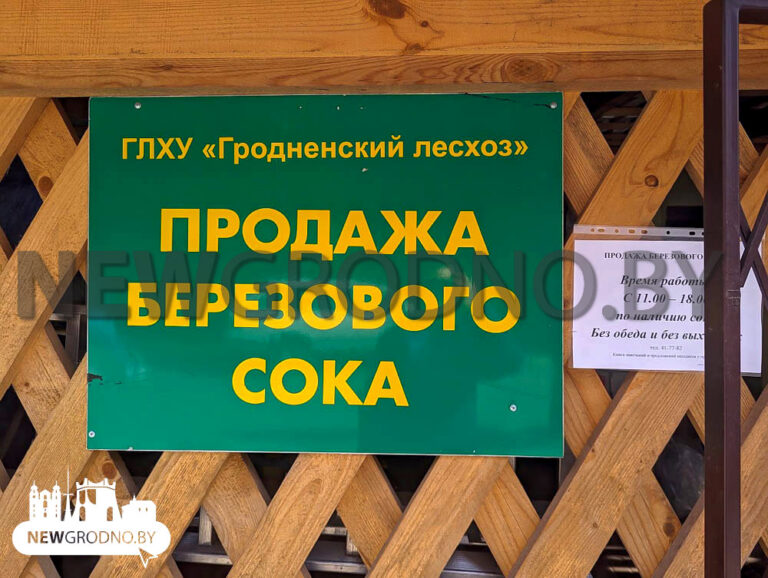 Березовый сок уже начали продавать в Беларуси