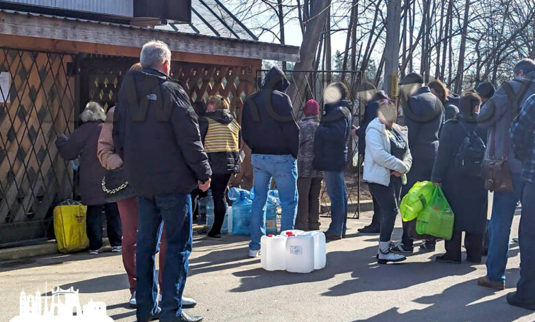 В Гродно за березовым соком выстроились очереди