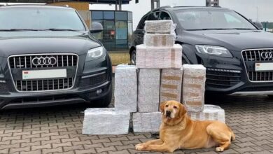 Пограничная собака в Польше "сдала" двух белорусов с грузом сигарет