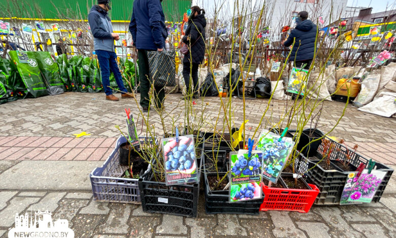 На рынках в Гродно начали продавать