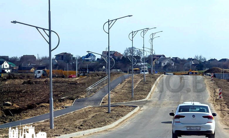 В Гродно вдоль новой дороги на Зарицу