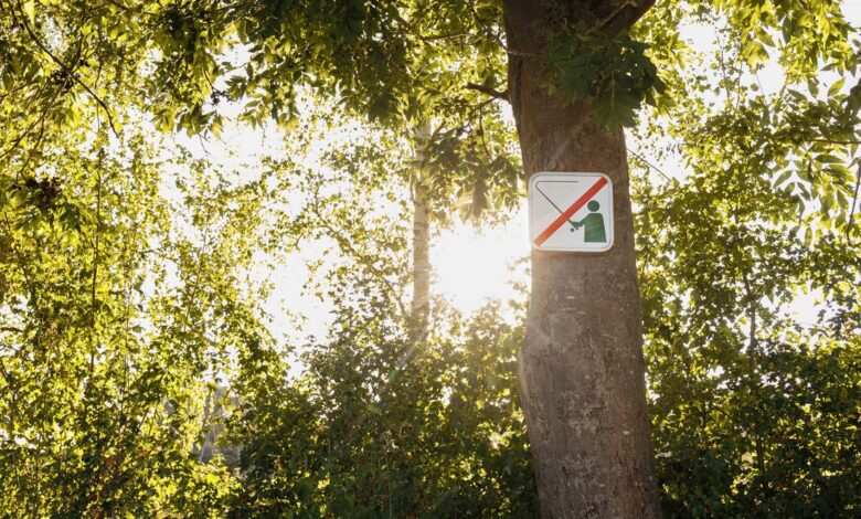 В Гродненской области начался нерестовый