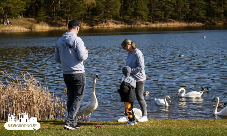 Что будет с погодой в Гродно в ближайшие дни?
