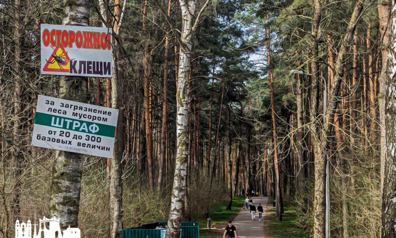 В Гродно на выходных пришла аномальная жара