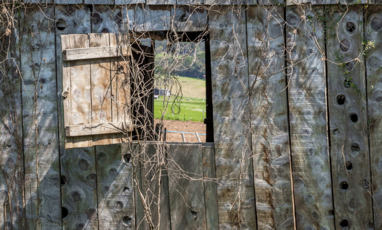 Гродненец пожаловался на громкий ночной стук в милицию