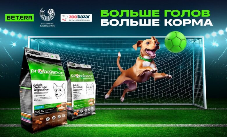 Betera Pets — масштабная акция помощи бездомным животным