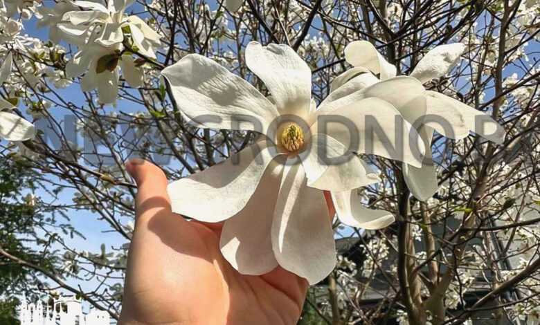 Как на южном курорте