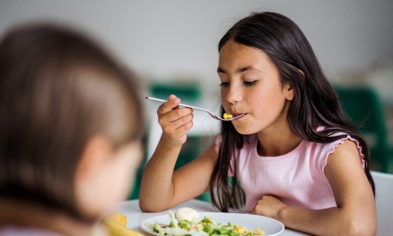 Госконтроль проверил, как кормят школьников в Гродненской области