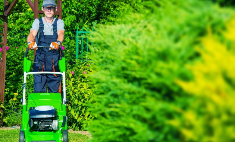 График кошения травы в Гродно в ближайшие недели