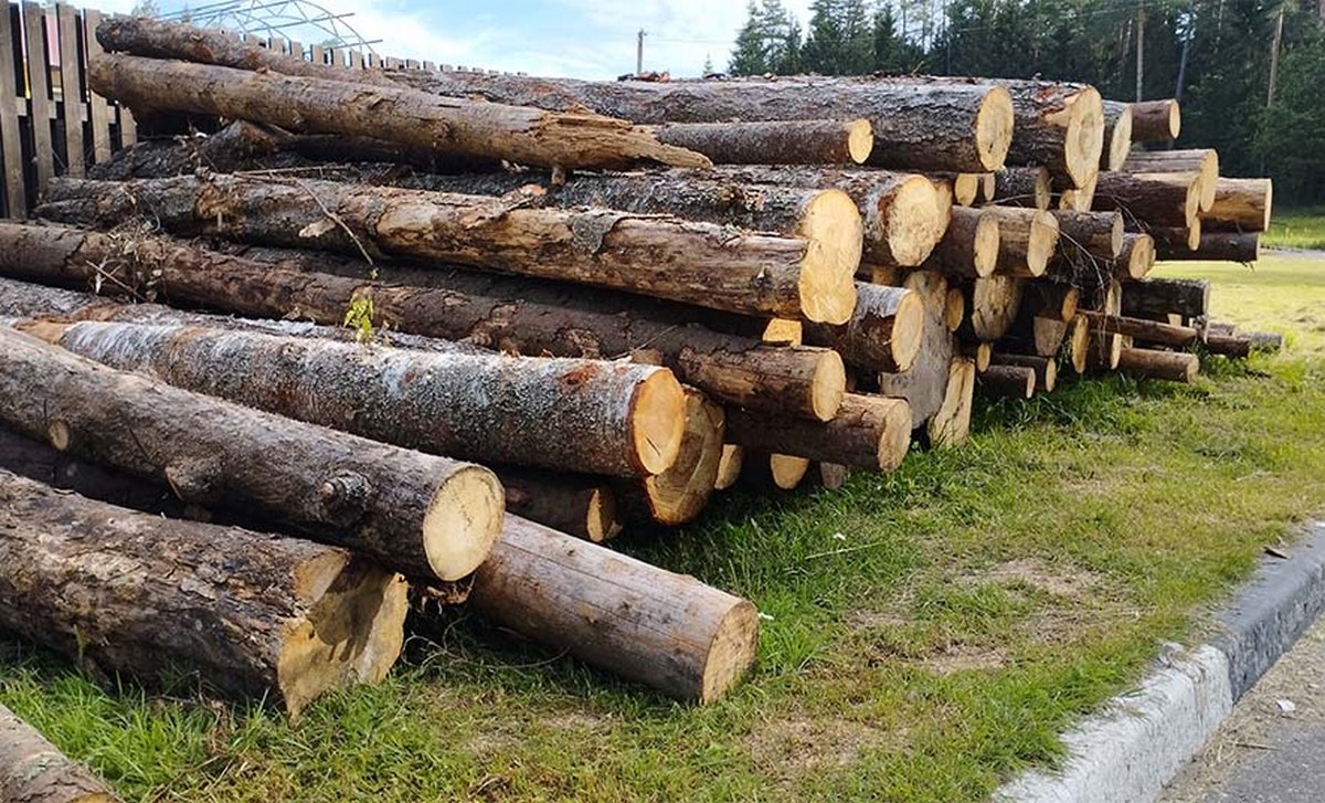 В Зельвенском районе оштрафовали лесника и мастер леса 