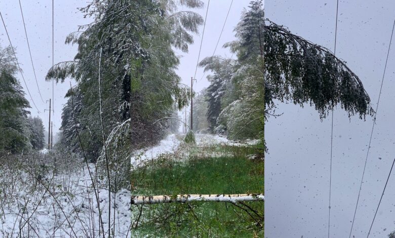Энергетики устраняют последствия апрельского снегопада на Гродненщине