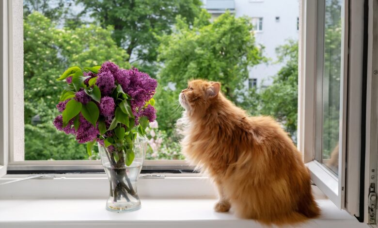 Озвучиваем прогноз погоды на ближайшие дни