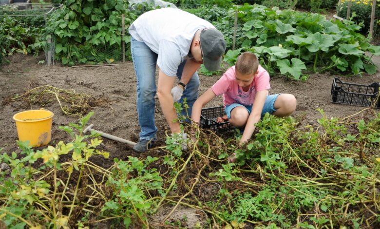 Мусор и даже растения.