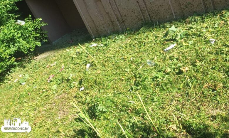 Коммунальный работник пожаловался на неряшливых