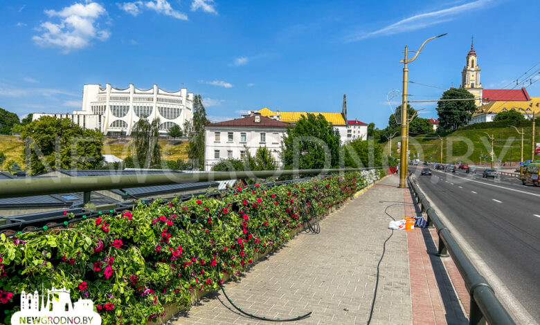 Как знаменитые висячие сады