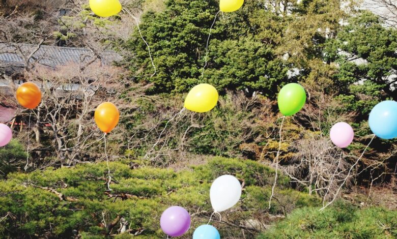 Выпускников в Беларуси просят беречь природу