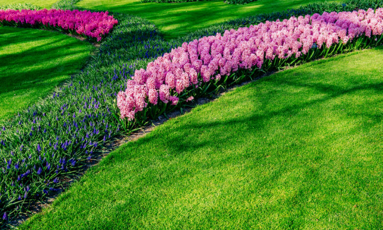 В Гродно появилась дизайнерская клумба