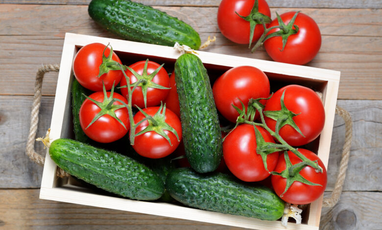 Ищем дешевые огурцы и помидоры в магазинах Гродно