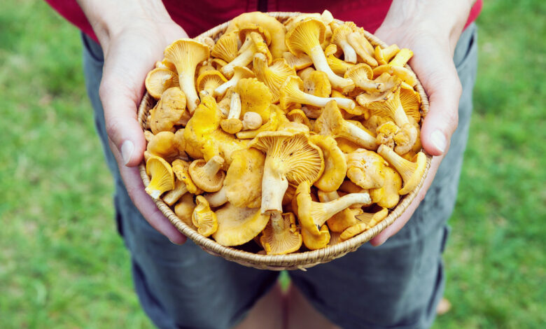 В Гродно начали продавать первые