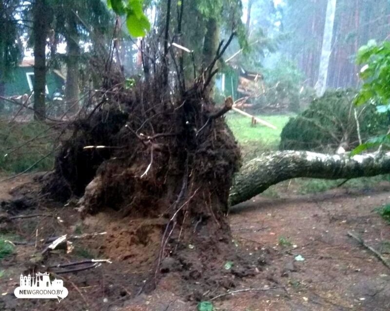 Белорусские энергетики рассказали