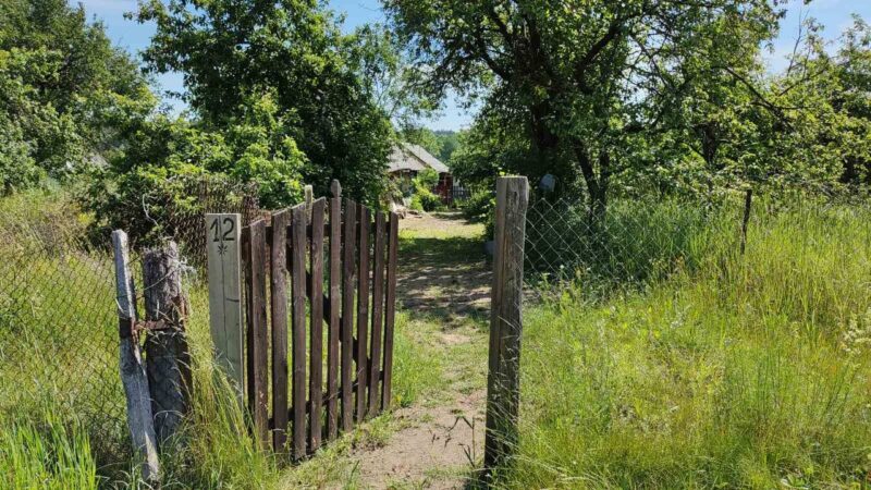 Под Дятлово женщина дерзко