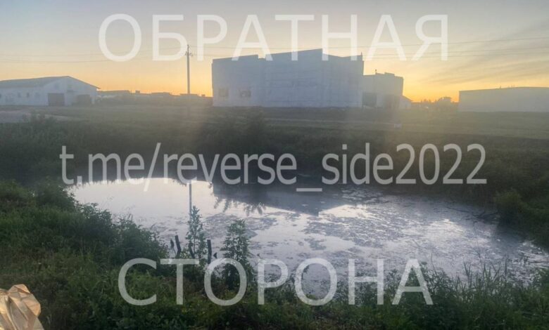 Девочка, пропавшая в Каменецком районе