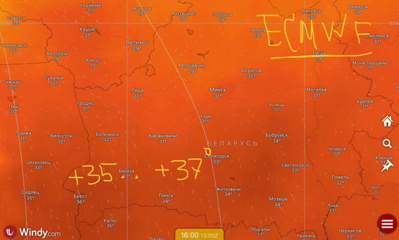 На этой неделе в Беларусь снова вернется жара