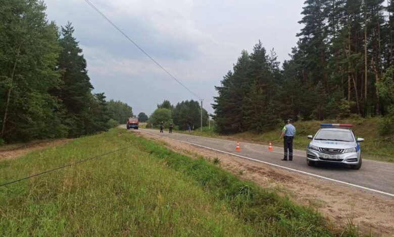 Гроза натворила дел в Гродненской области
