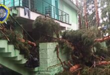 массовые торнадо 10–11 декабря 2021 года. ураган тайфун смерч гигантских размеров. ураган 4 июля 2024. ураган фото. торнадо в сочи.