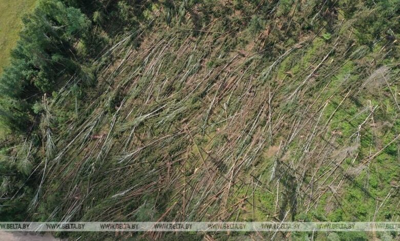 Лукашенко поручил отправить заключенных на ликвидацию стихии