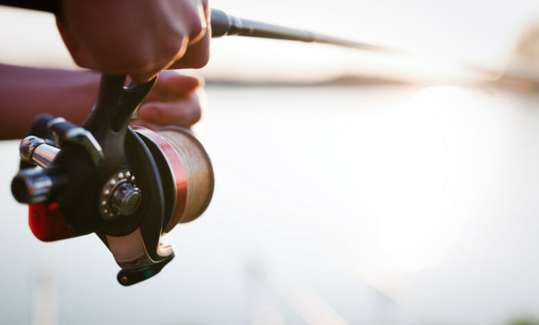 В Беларуси ввели запрет