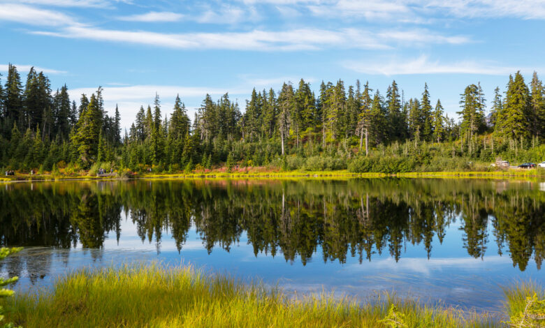 За какие экологические