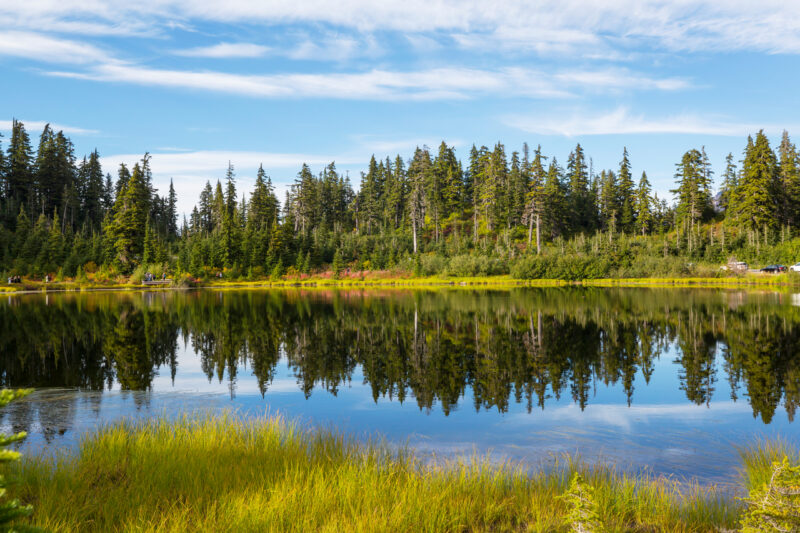 За какие экологические