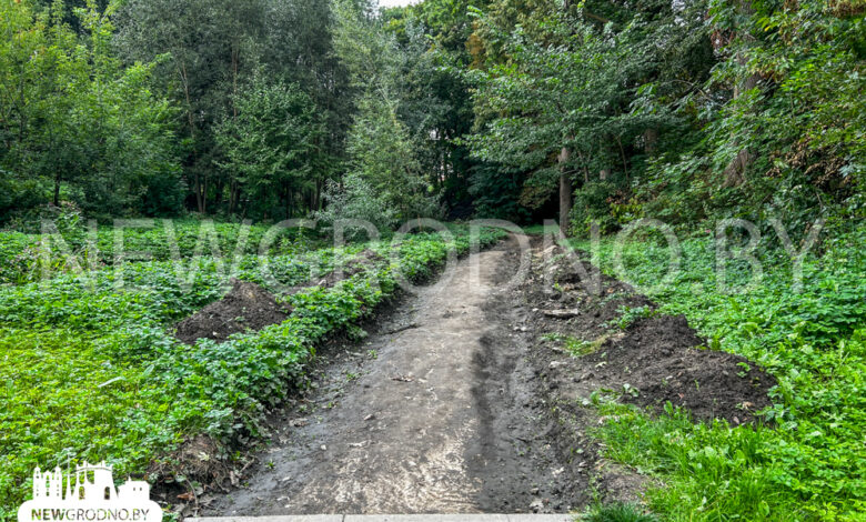 Швейцарскую долину в Гродно могут