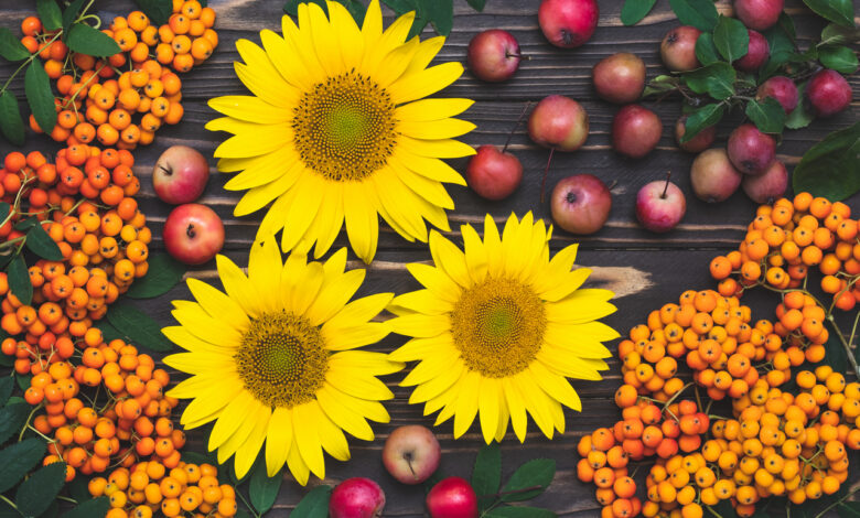 Рябов поделился прогнозом погоды на начало сентября