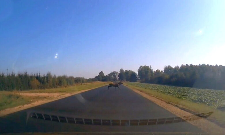 Рядом с санаторием «Радон»