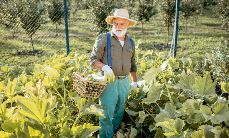Чем занимаются белорусы