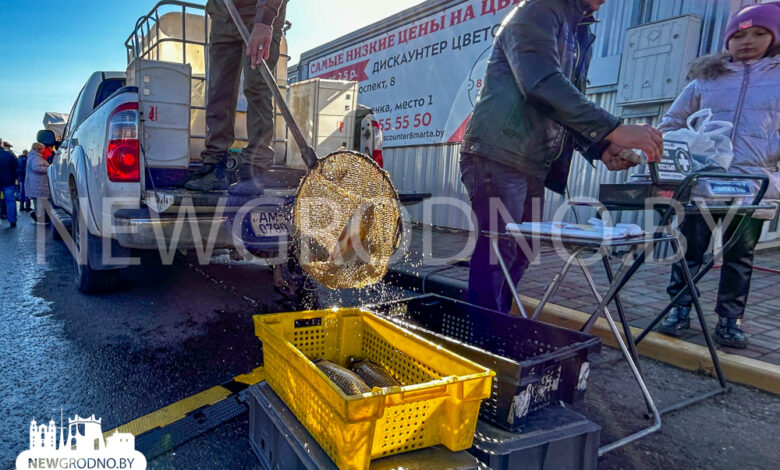 Что можно было купить на рыбной